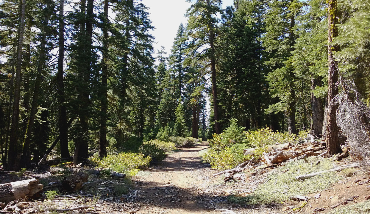 Trail on Brockway property, north rim of the Tahoe Basin.