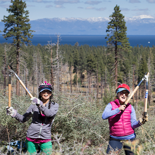 Tahoe Forest Stewardship Day 2017