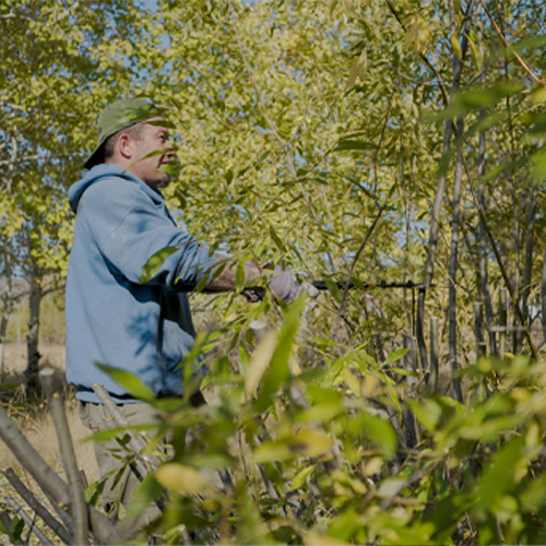 A volunteer at Tahoe Forest Stewardship Day 2021.