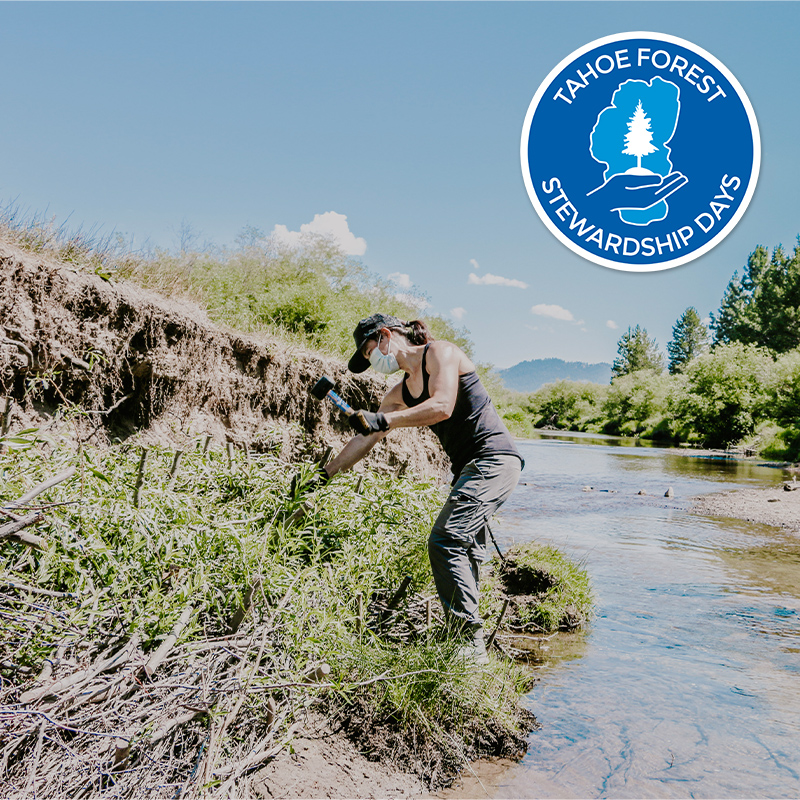 Tahoe Forest Stewardship Day 2016