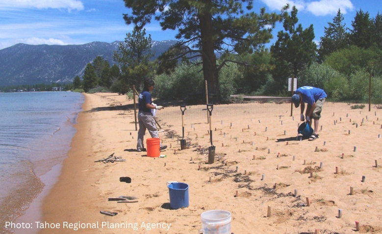 planting seeds at the beach lake tahoe