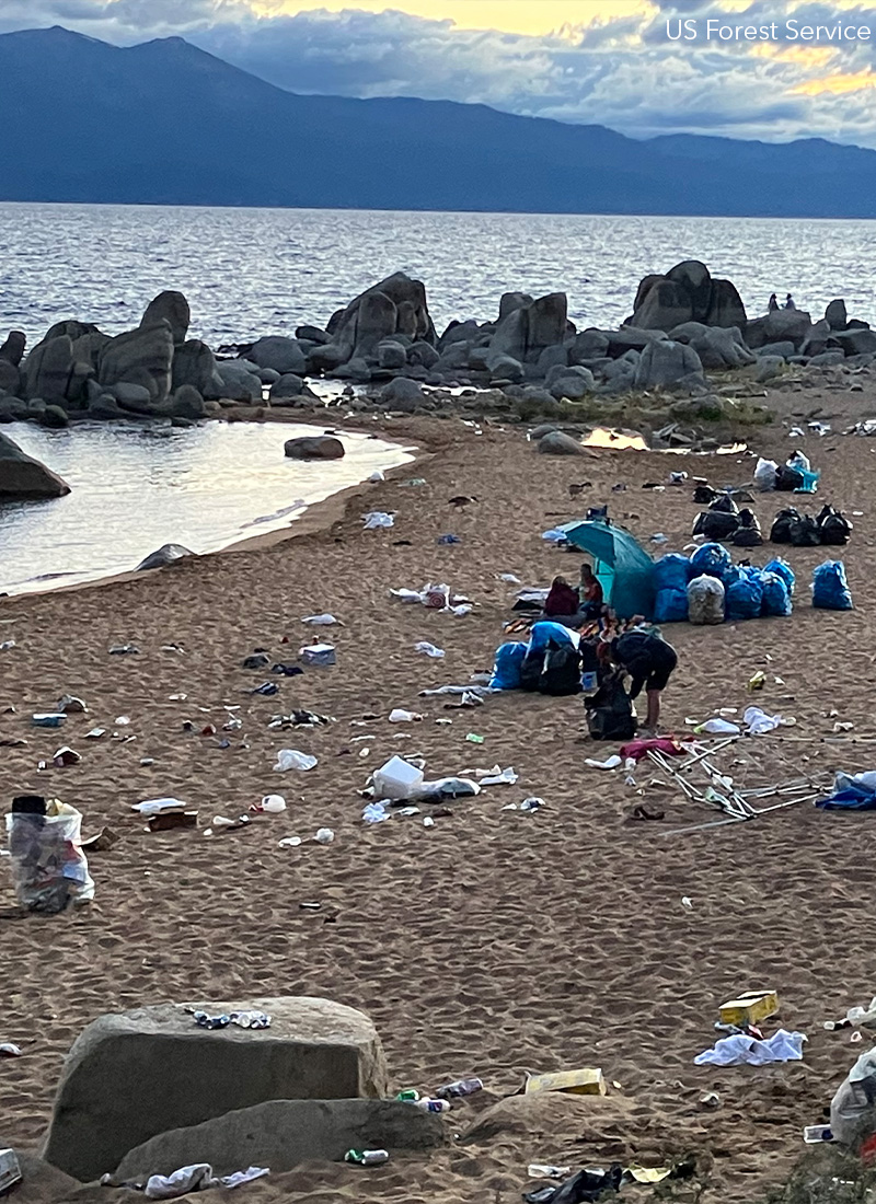 A beach littered with trash