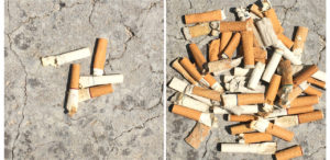 5 cig butts vs 50 cig butts