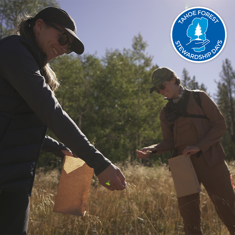 2022 Tahoe Forest Stewardship Days