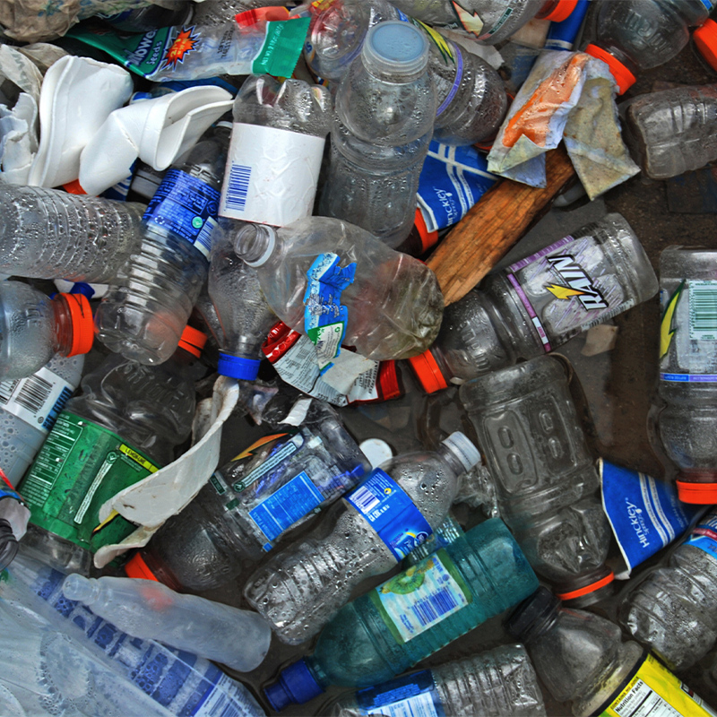 Plastic bottle litter