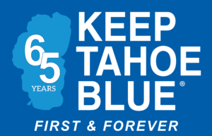 65th anniversary logo