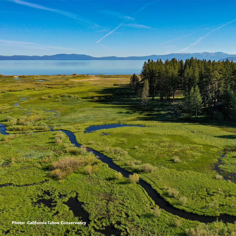 Aerial view of the Upper Truckee Marsh