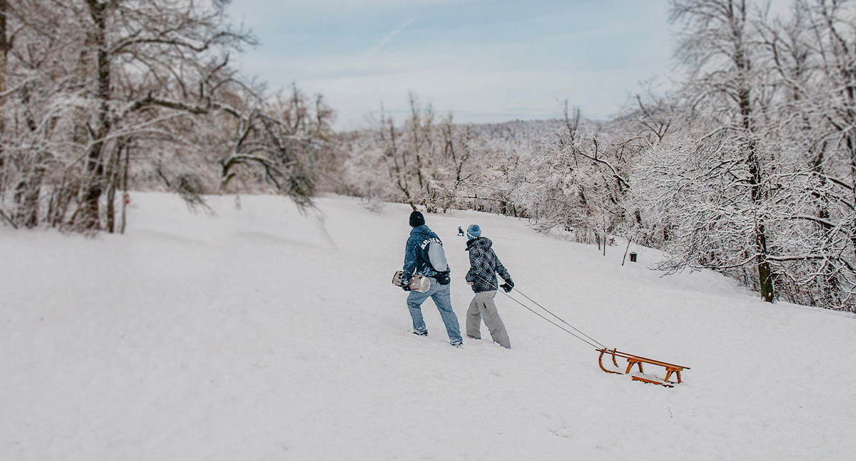 sledding