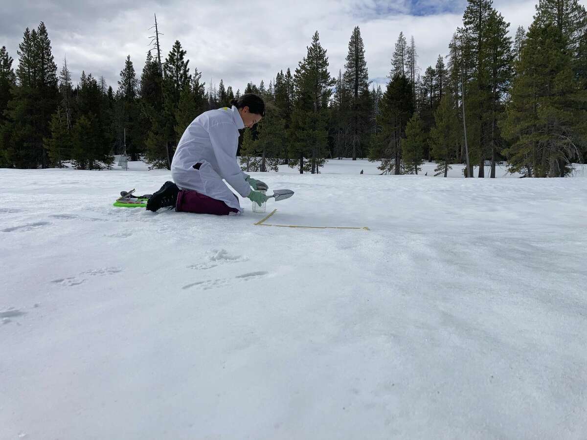 Scientist takes snow samples for microplastics