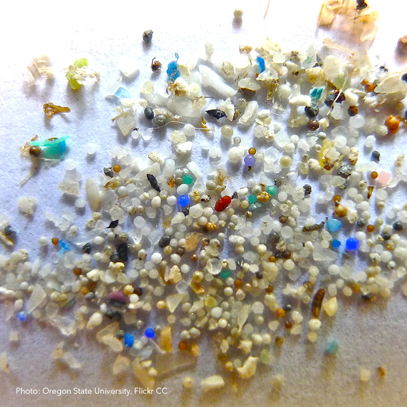 Microplastics up close.