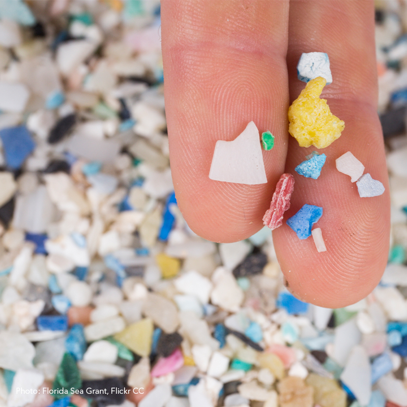 Microplastics