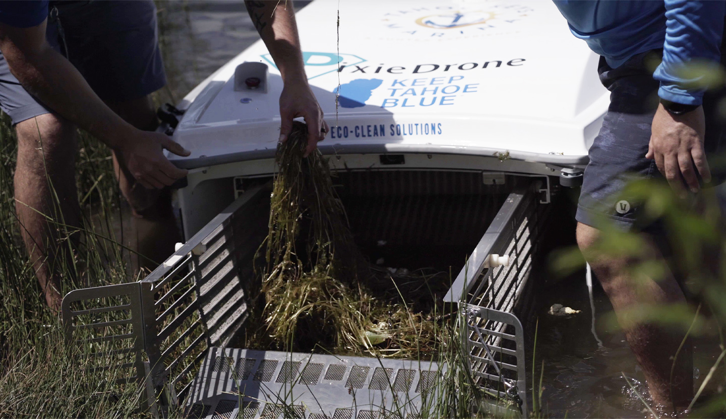 Aquatic weeds in the PixieDrone's hopper