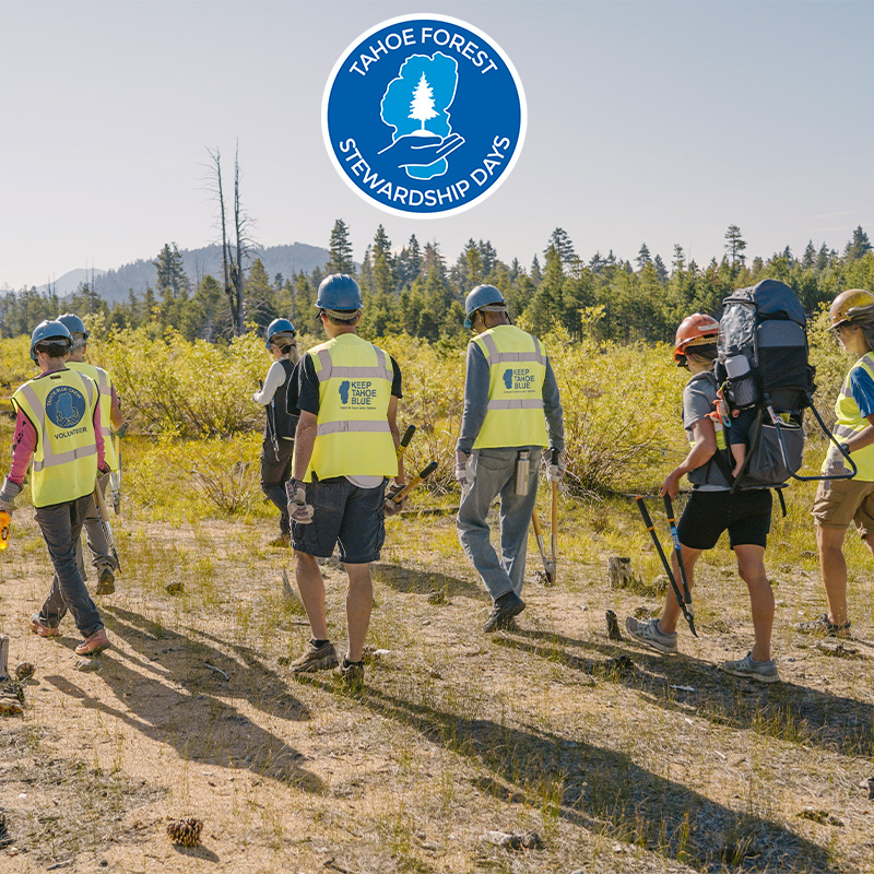 2023 Tahoe Forest Stewardship Day