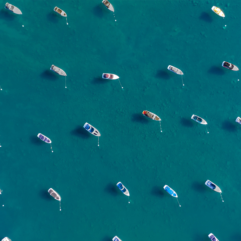 Boats at moorings