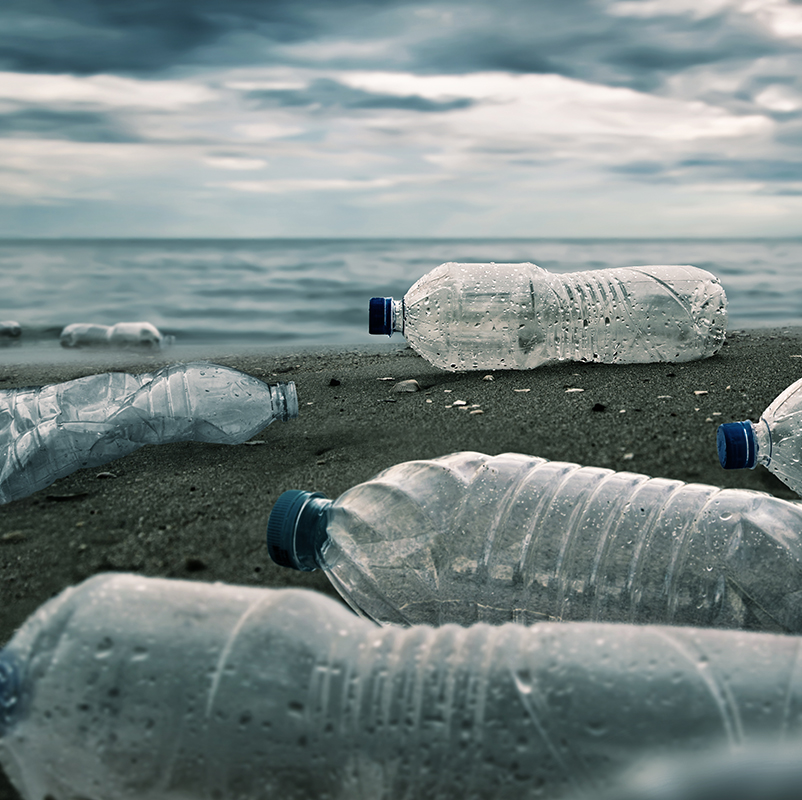 Plastic water bottle litter