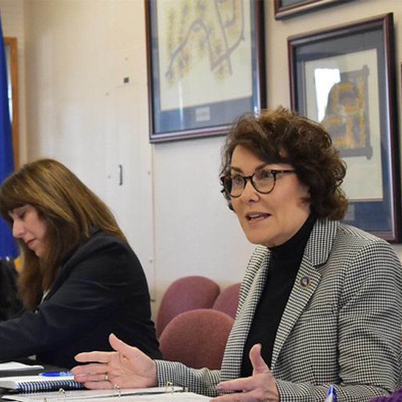 Jacky Rosen, Nevada Senator