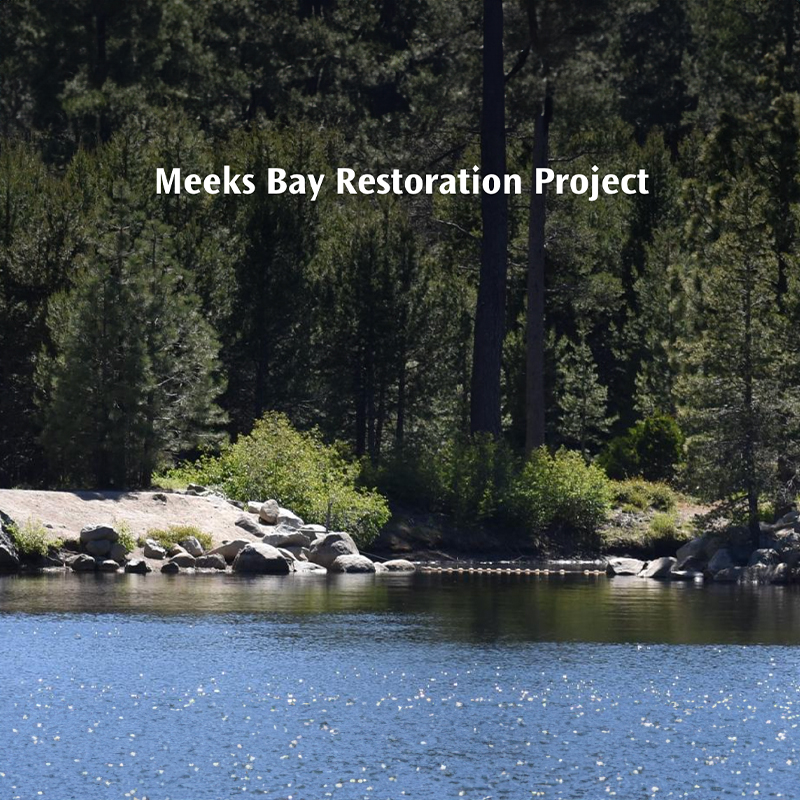 Meeks Bay Restoration Project