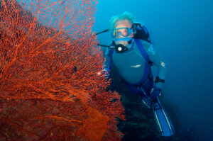 Jean-Michel Cousteau