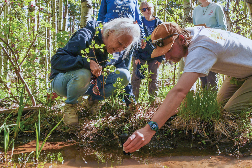 Joanne Rolfe, February 2026, Core Volunteer Spotlight