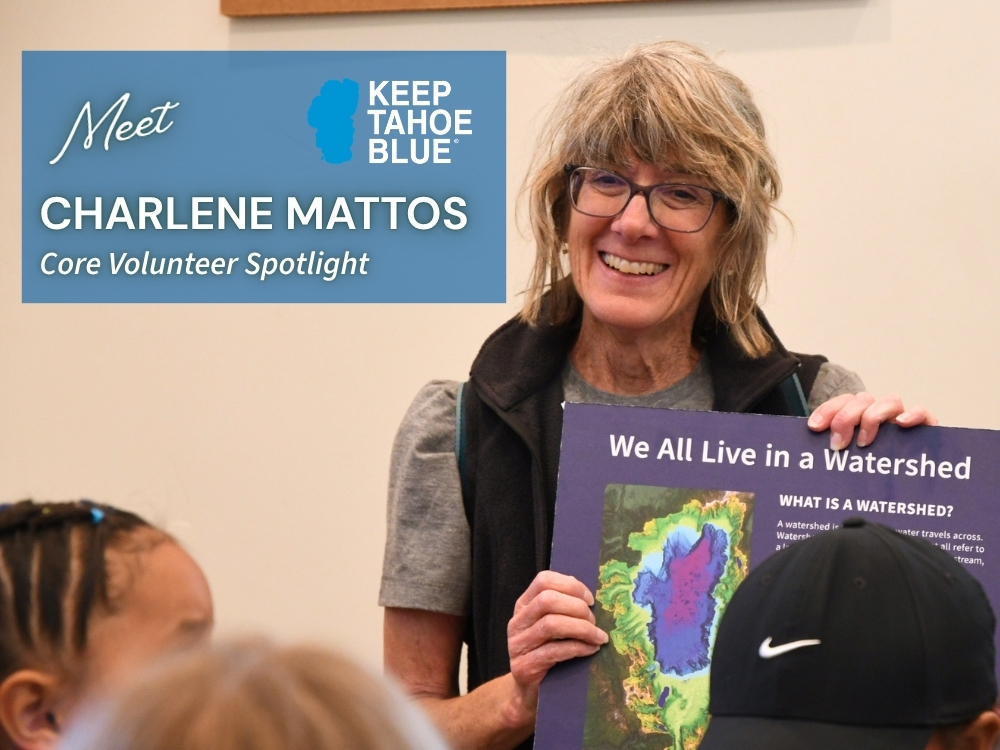 charlene mattos, june 2026 core volunteer spotlight photo