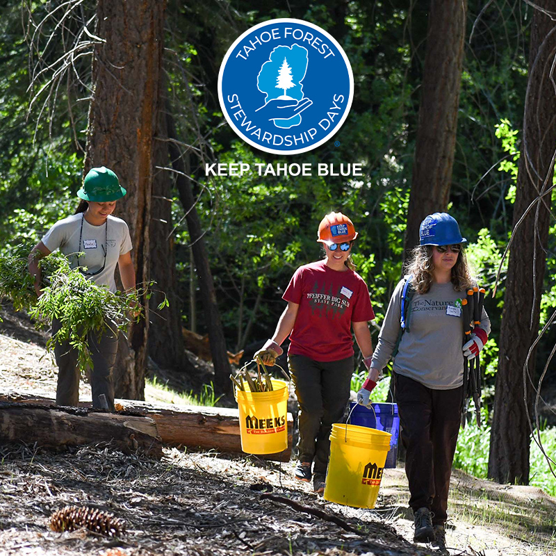 Tahoe Forest Stewardship Days - Keep Tahoe Blue