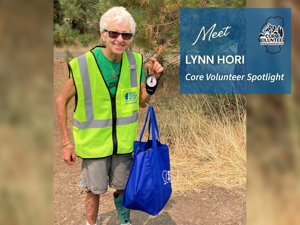 Lynn Hori Core Volunteer spotlight