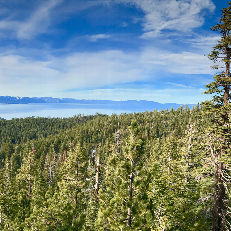 Keep Tahoe Blue, Adam Reeder, Creative Commons